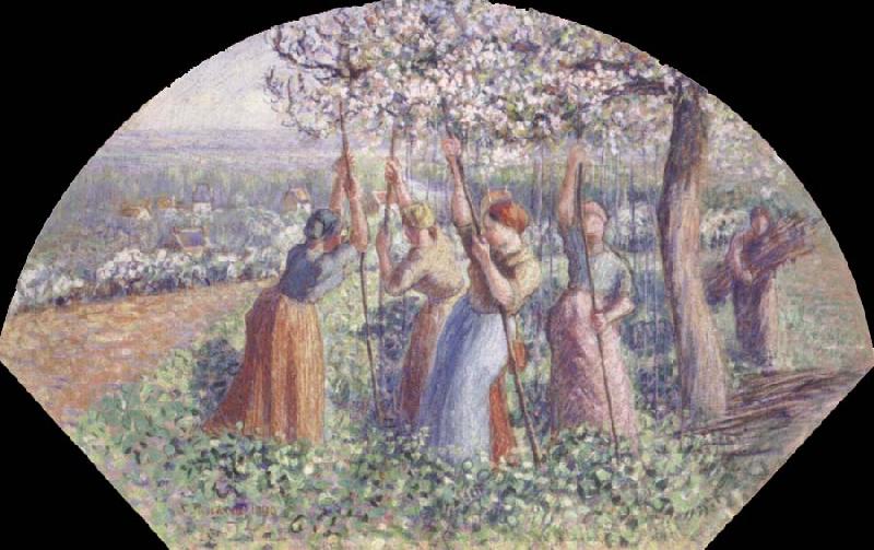 Camille Pissarro Peasant Women Placing pea-Sticks in the Ground France oil painting art
